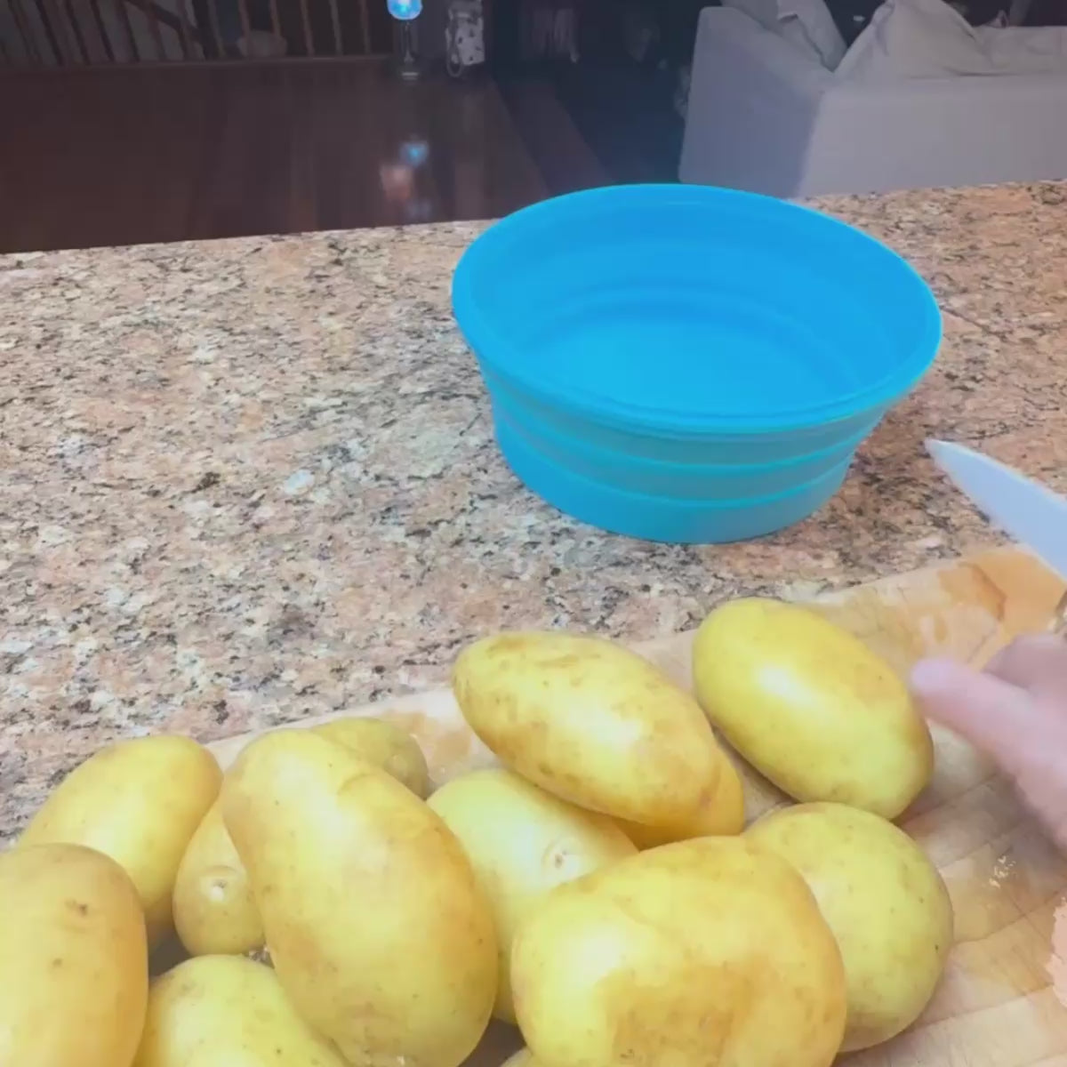 Family Meal Prep Duo (2-pc) — Large Square + Salad Bowl