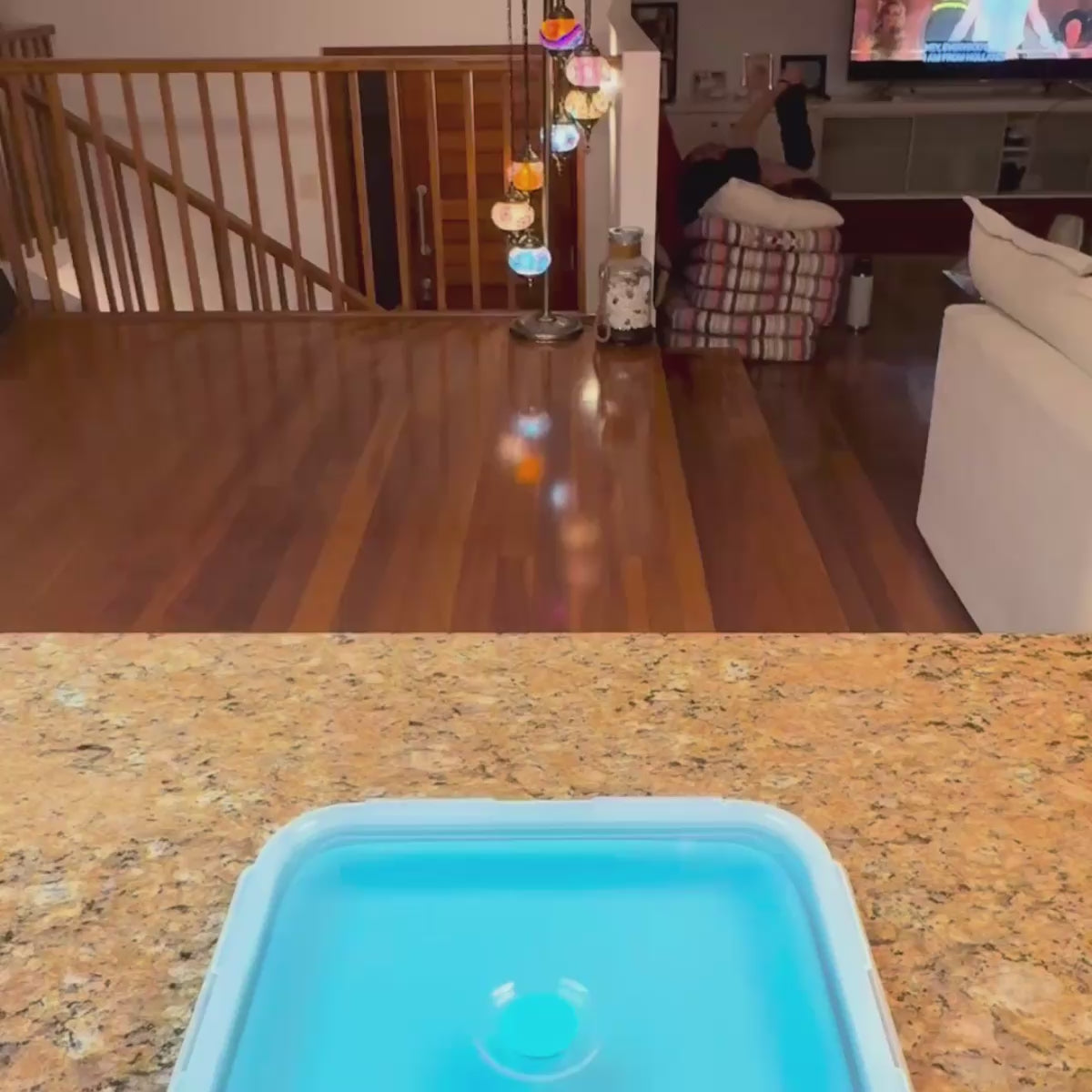 Family Meal Prep Duo (2-pc) — Large Square + Salad Bowl