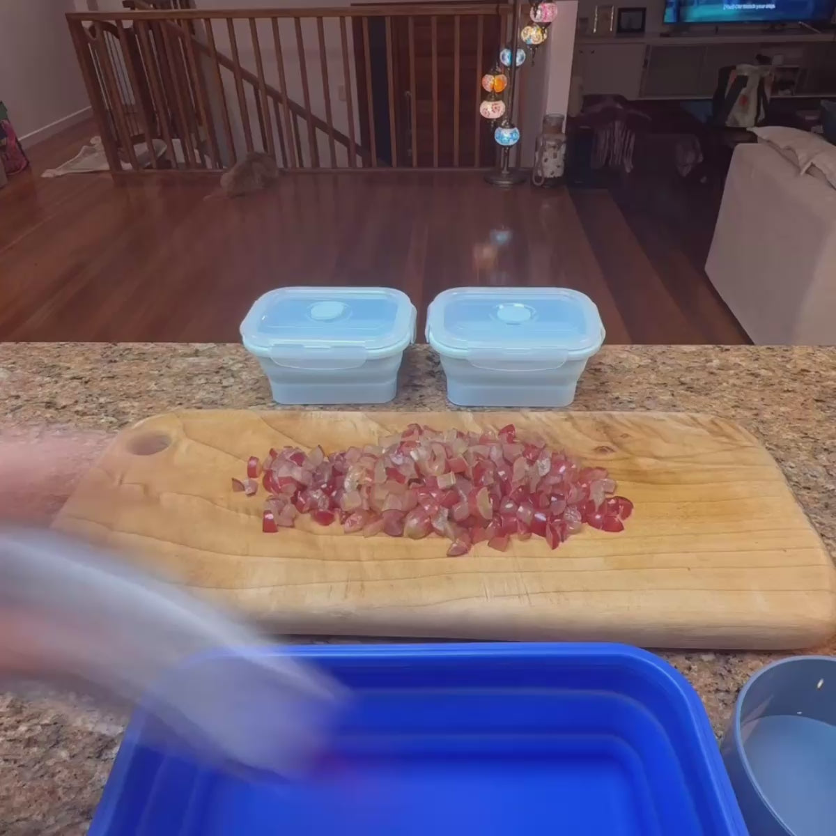 Reusable Snack Containers Set (3-pc)