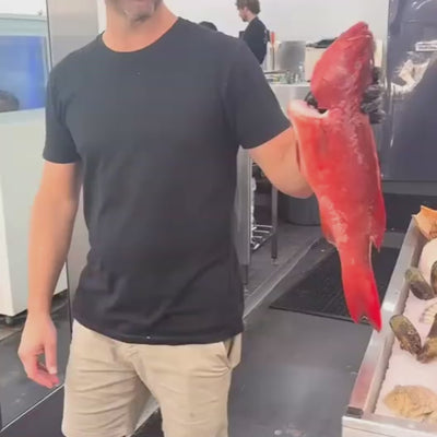 Jumbo Rectangle Ovenware — 7L