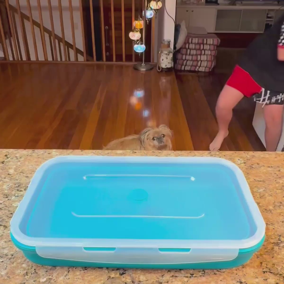 Rectangle Silicone Food Container 5L